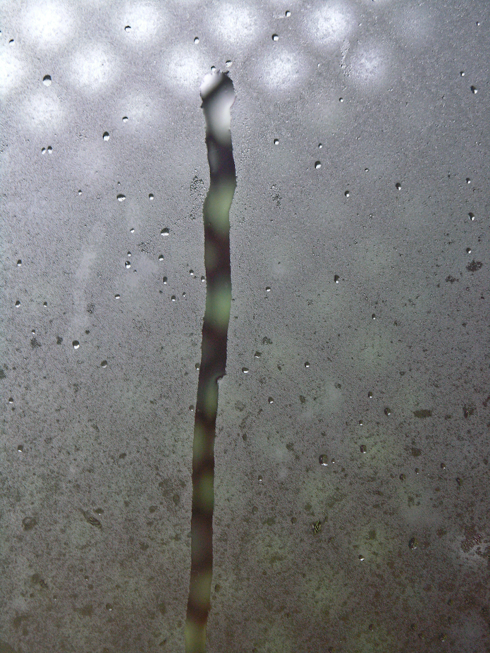 fog drip, the schnitzle mystery house series, by Naomi Pitcairn